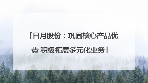 日月股份：巩固核心产品优势 积极拓展多元化业务